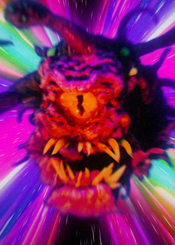 FQWebsite-Animation2025